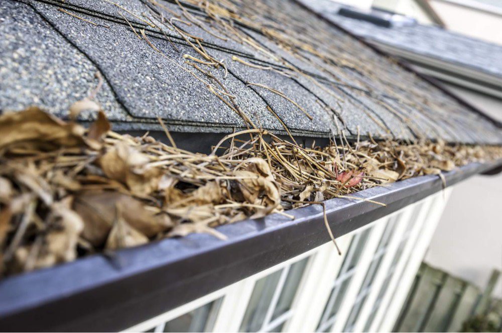 The Importance of Maintaining Your Gutters