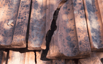 5 quick checks that indicate your roof needs help